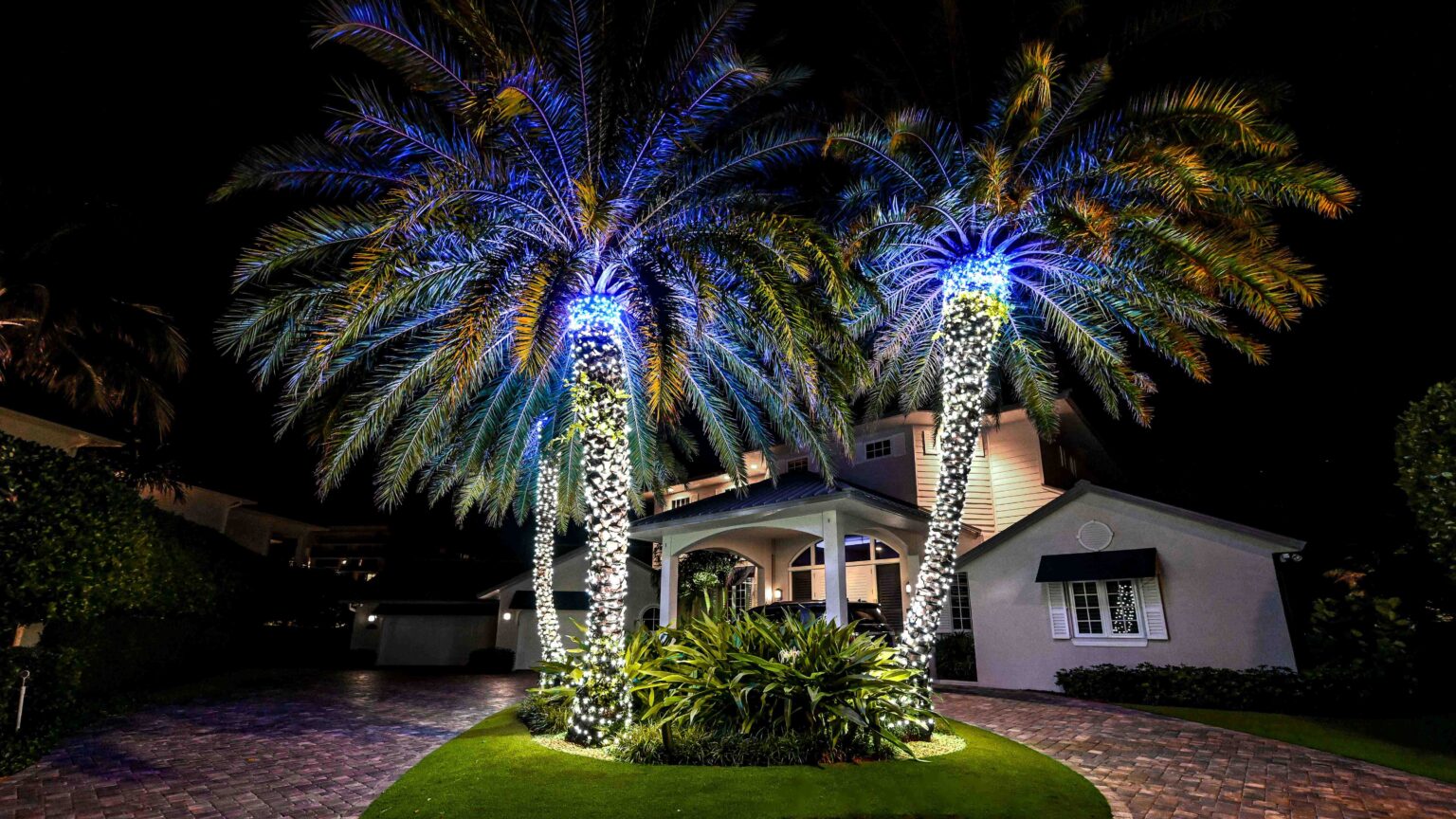 Palm trees decorated with dark blue holiday lights on the cap and pure white holiday lights on the trunk in front of a Palm Beach luxury house