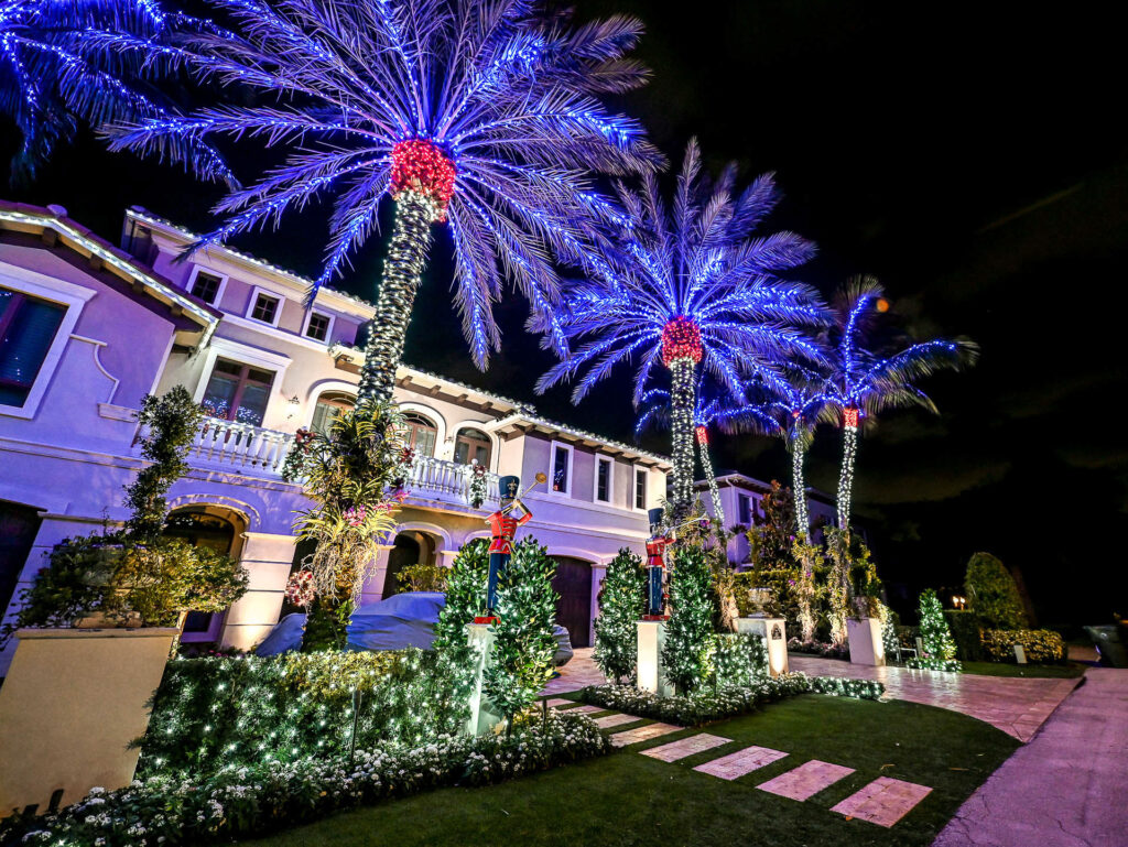 Five-star holiday-style lighting installation wrapped around palm trees, rooflines, and fences of a big and wealthy house with multiple colors