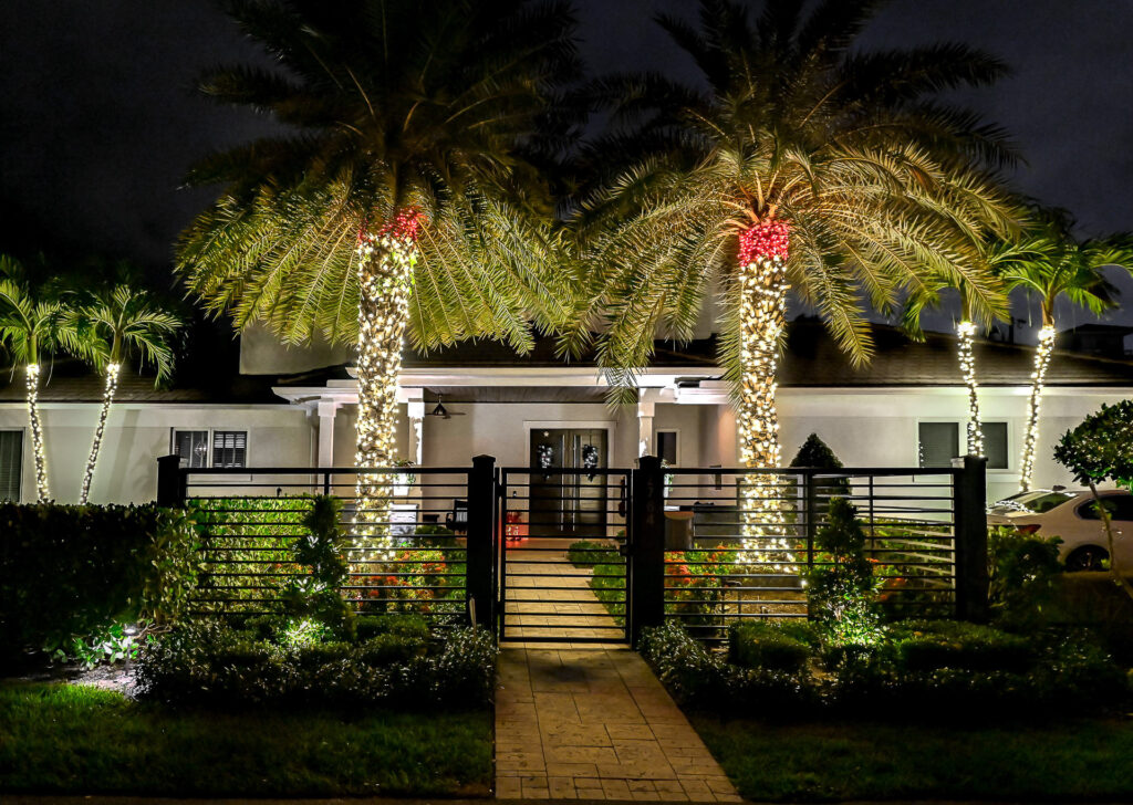 modern single-story home with different-sized palm trees in the front yard wrapped in warm white and red holiday lights