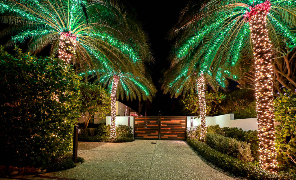 Four palm trees wrapped in Christmas-style lights illuminate a modern and wealthy-looking gate