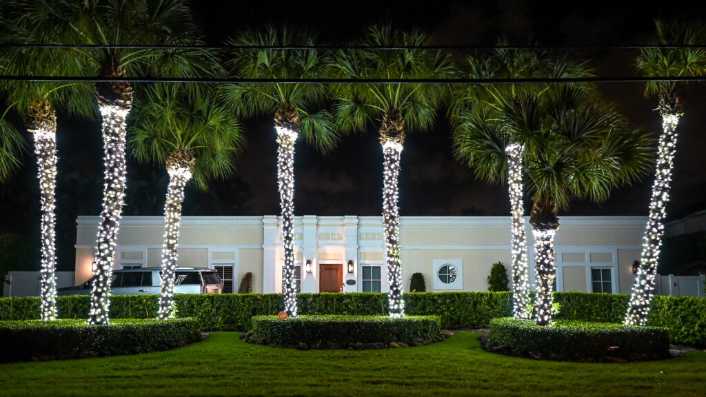 Palm trees in front of a commercial plaza with beautiful pure white holiday-style lights wrapped around their trunk and cap