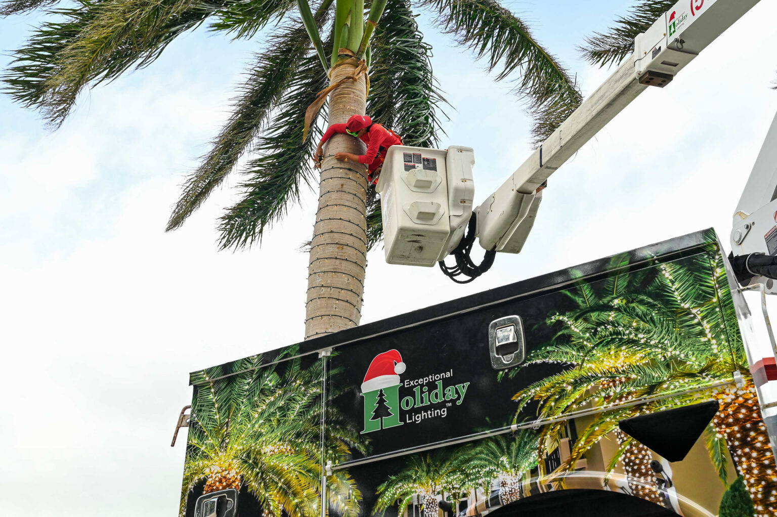 Crewmate from Exceptional Holiday Lighting on a branded bucket truck lift wrapping light strands around a tall royal palm.