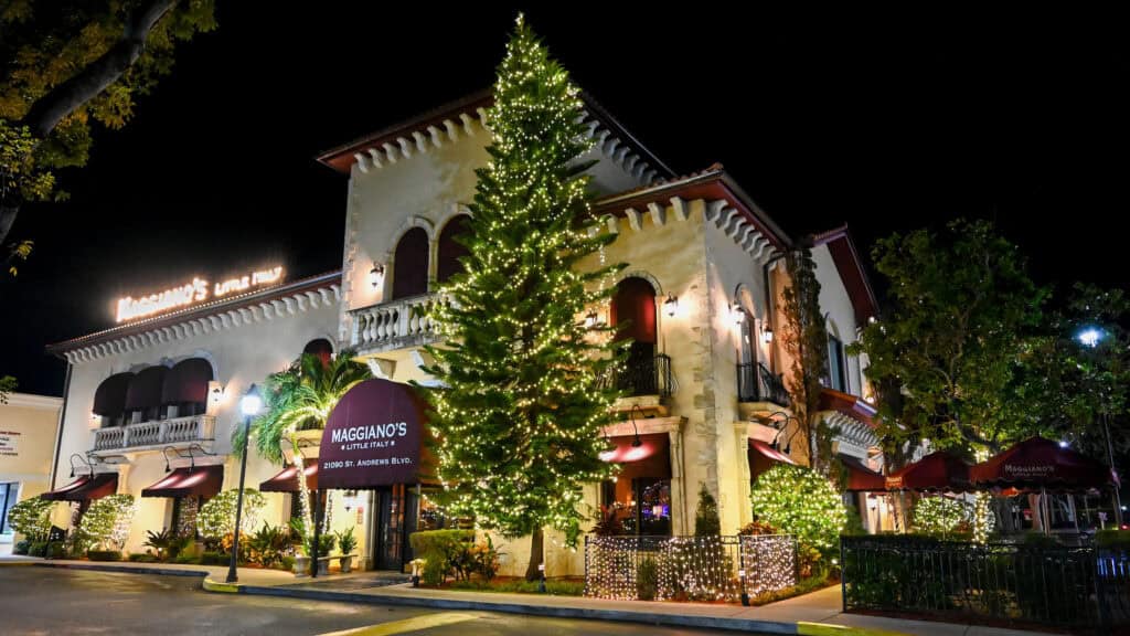 Very tall pine trees, small palm trees, and bushes in front of Maggiano's Italian Restaurant are wrapped in top-quality holiday lights.
