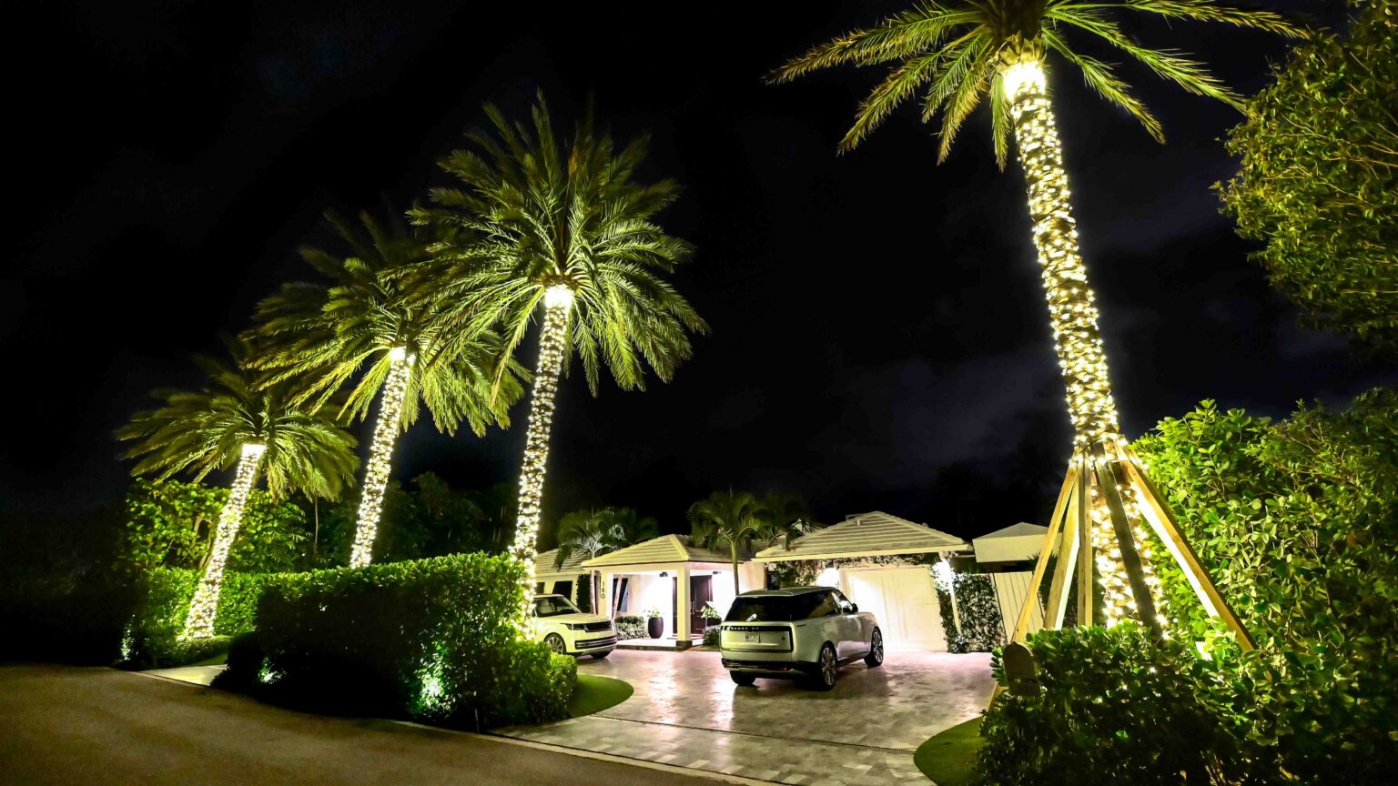 Four tall palm trees with trunks and caps wrapped in premium quality holiday-style lighting installation in front of the driveway of a Palm Beach home