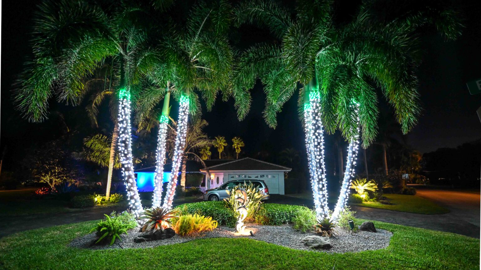Two sets of three palm trees are illuminated in white trunk lights and green cap lights, standing in front of a one-story South Florida home's driveway