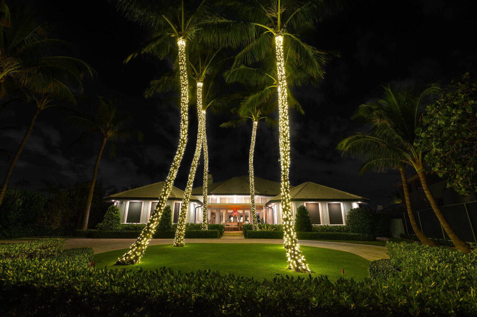 Palm tree wrapped with LED lights for Christmas in Palm Beach Florida