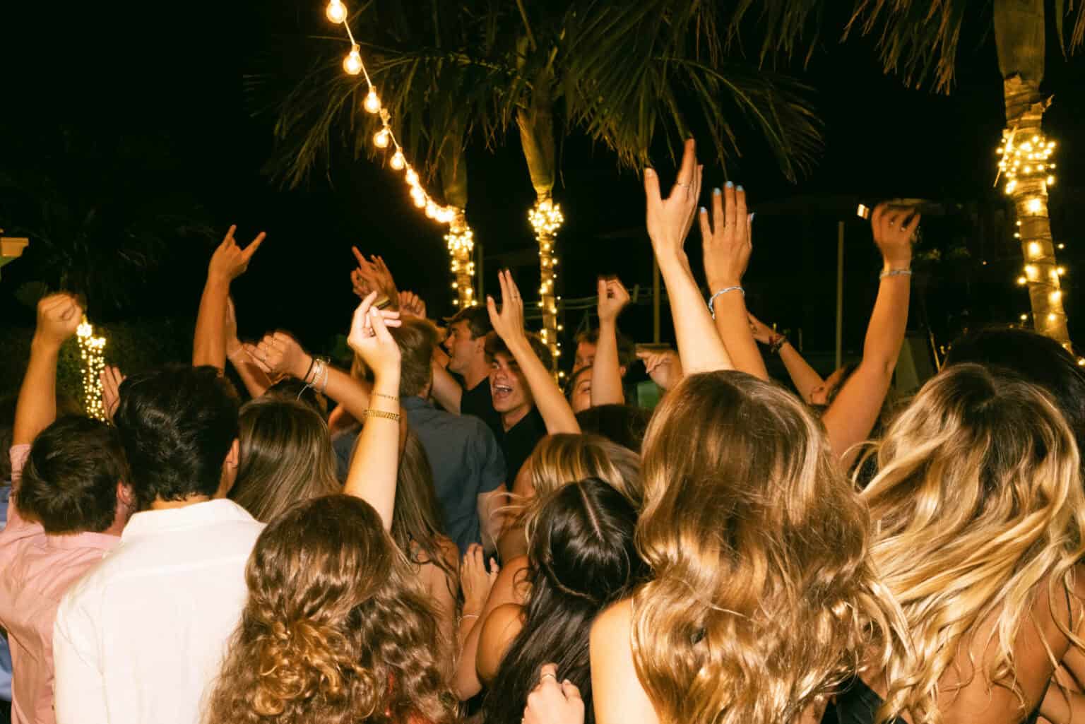 Backyard Party Lighting Installation