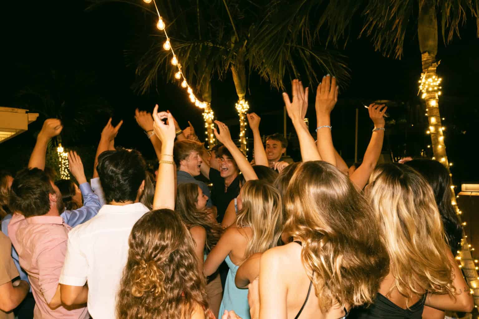 Backyard Party Lighting Installation